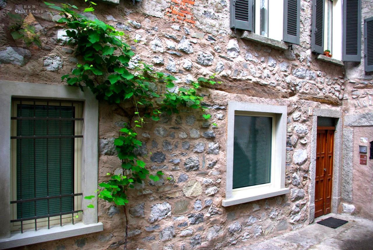 Catif Ladru Bed & Breakfast Cerveno Exterior photo